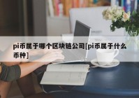 pi币属于哪个区块链公司[pi币属于什么币种]